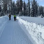 Hundefreundliche Bergwohnung Neben Der Skipiste - Mittelstation Skigebiet Gerlitzen *