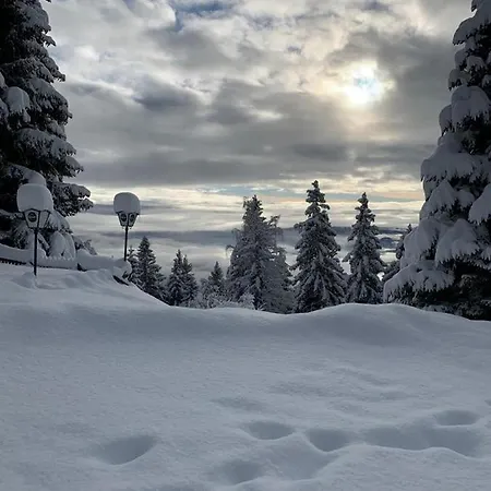 Hundefreundliche Bergwohnung Neben Der Skipiste - Mittelstation Skigebiet Gerlitzen 아파트 *