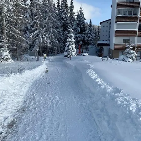 Lejlighed Hundefreundliche Bergwohnung Neben Der Skipiste - Mittelstation Skigebiet Gerlitzen
