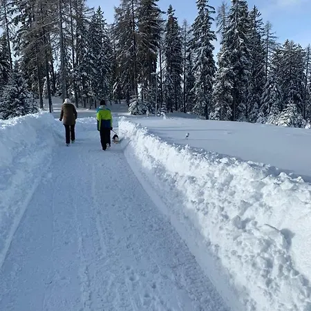 Hundefreundliche Bergwohnung Neben Der Skipiste - Mittelstation Skigebiet Gerlitzen *