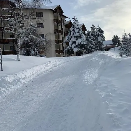 Apartment Hundefreundliche Bergwohnung Neben Der Skipiste - Mittelstation Skigebiet Gerlitzen