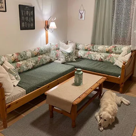 Hundefreundliche Bergwohnung Neben Der Skipiste - Mittelstation Skigebiet Gerlitzen Apartment