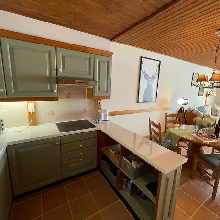 Apartman Hundefreundliche Bergwohnung Neben Der Skipiste - Mittelstation Skigebiet Gerlitzen *