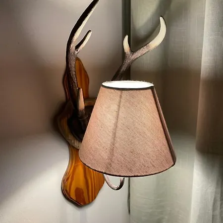 Apartman Hundefreundliche Bergwohnung Neben Der Skipiste - Mittelstation Skigebiet Gerlitzen Kanzelhöhe