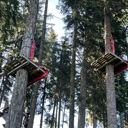 Hundefreundliche Bergwohnung Neben Der Skipiste - Mittelstation Skigebiet Gerlitzen Lejlighed *