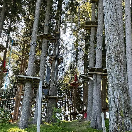 Hundefreundliche Bergwohnung Neben Der Skipiste - Mittelstation Skigebiet Gerlitzen Apartment