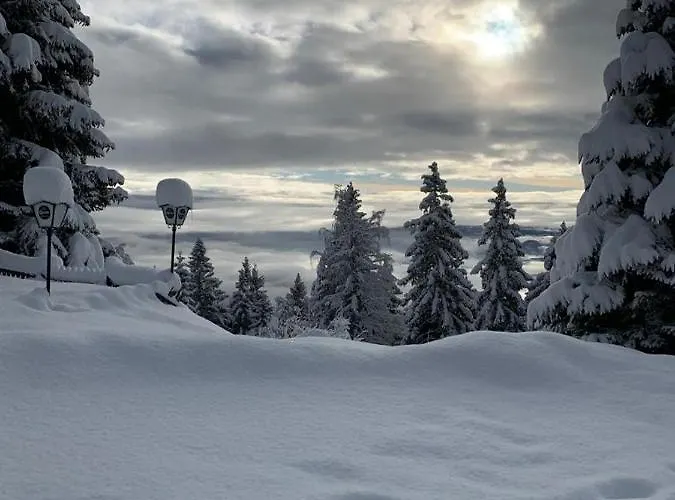 Hundefreundliche Bergwohnung Neben Der Skipiste - Mittelstation Skigebiet Gerlitzen דירה *