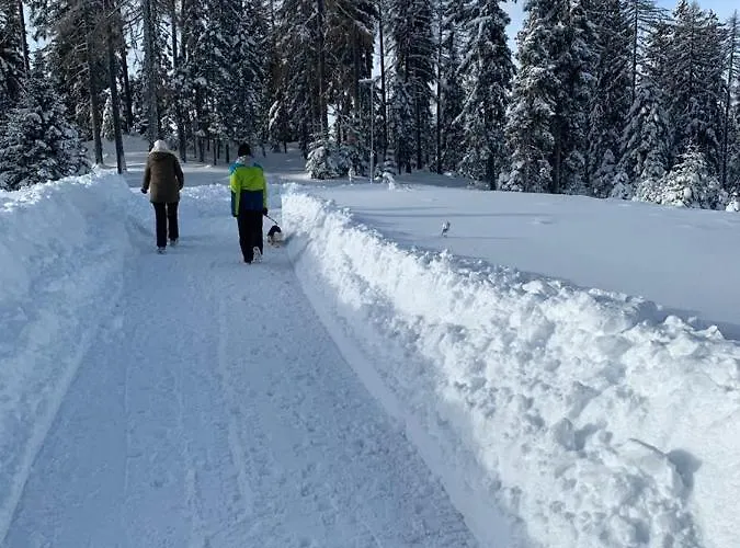 Hundefreundliche Bergwohnung Neben Der Skipiste - Mittelstation Skigebiet Gerlitzen *