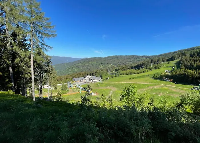 Hundefreundliche Bergwohnung Neben Der Skipiste - Mittelstation Skigebiet Gerlitzen דירה